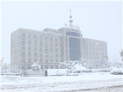 瑞雪兆丰年，踏雪ga黄金甲体育